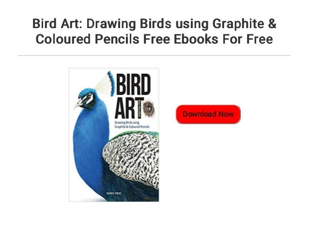Drawing Birds using Graphite /& Coloured Pencils Bird Art
