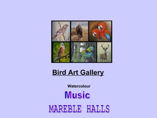 Bird Art Gallery   Watercolour  MAREBLE HALLS  Music 