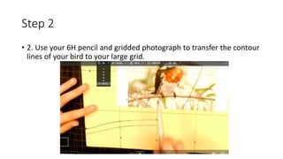 Birds, in Pen, Art Lesson | PPTX