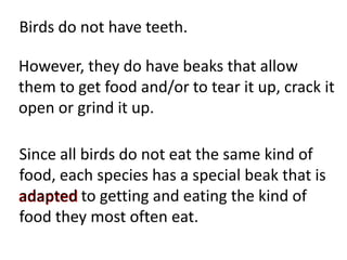 Birds do not have teeth.
However, they do have beaks that allow
them to get food and/or to tear it up, crack it
open or grind it up.
Since all birds do not eat the same kind of
food, each species has a special beak that is
adapted to getting and eating the kind of
food they most often eat.