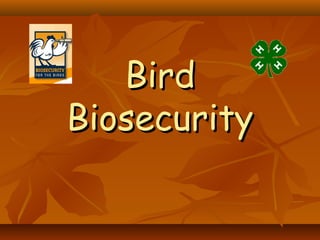 BirdBird
BiosecurityBiosecurity
 