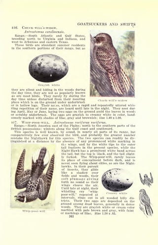 416.
GOATSUCKERS AND SWIFTS
CHUCK-WILL'S-WIDOW.
Antrostomus carolinensis.
Range. South Atlantic and Gulf States,
breeding north to Virginia and Indiana, and
west to Arkansas and eastern Texas.
These birds are abundant summer residents
in the southern portions of their range, but as
Chuck -will's- widow
Grayish white
they are silent and hiding in the woods during
the day time, they are not as popularly known
as are most birds. They rarely fly during the
day time unless disturbed from their roosting
place which is on the ground under underbrush
or in hollow logs. Their notes, which are a rapid and repeatedly uttered whis-
tling repetition of their name, are heard until late in the night. They nest dur-
ing April, May or June, laying two eggs on the ground amid the leaves in woods
or scrubby underbrush. The eggs are grayish to creamy white in color, hand-
somely marked with shades of lilac, gray and brownish; size 1.40 x 1.00.
417. WHIP-POOR-WILL. Antrostomus vociferus vociferus.
Range. North America east of the Plains ;
north to the southern parts of the
British possessions; winters along the Gulf coast and southward.
This species is well known, by sound, in nearly all parts of its range, but
comparatively few ever observed the bird, and probably the greater number
mistake the Nighthawk for this species. The two species can readily be dis-
tinguished at a distance by the absence of any pronounced white marking in
ths wings, and by the white tips to the outer
tail feathers in the present species, while the
Night Hawk has a prominent white band across
the tail, but the top is black, and the tail slight-
ly forked. The Whip-poor-will, rarely leaves
its place of concealment before dark, and is
never, seen flying about cities, as are the Night-
hawks. In their pursuit
of insects, they glide
like a shadow over
fields and woods, their
soft plumage giving
forth no sound as their
wings cleave the air.
Until late at night, their
whistling cry "whip-
poor-will," repeated at
intervals, rings out in all wooded hilly dis-
tricts. Their two eggs are deposited on the
ground among dead leaves, generally in dense
woods. They are grayish white or cream color
marbled with pale brown and gray, with faint
er markings of lilac. Size 1.50 x .85.
263
Creamy white
Whip-poor-will
 