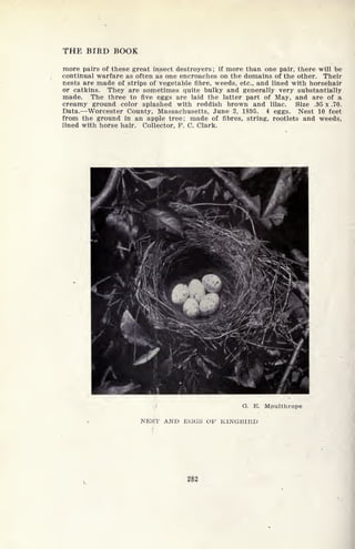 THE BIRD BOOK
more pairs of these great insect destroyers ;
if more than one pair, there will be
continual warfare as often as one encroaches on the domains of the other. Their
nests are made of strips of vegetable fibre, weeds, etc., and lined with horsehair
or catkins. They are sometimes quite bulky and generally very substantially
made. The three to five eggs are laid the latter part of May, and are of a
creamy ground color splashed with reddish brown and lilac. Size .95 x .70.
Data. Worcester County, Massachusetts, June 3, 1895. 4 eggs. Nest 10 feet
from the ground in an apple tree; made of fibres, string, rootlets and weeds,
lined with horse hair. Collector, F. C. Clark.
G. E. Mpulthrope
NEST AND EGGS OF KINGBIRD
282
 