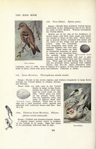 THE BIRD BOOK
533. PINE SISKIN. Spinus pinus.
Range. Breeds from northern United States
northward, in the Alleghanies and in the Rock-
ies south to New Mexico. Winters throughout
the United States.
Siskins are of the size of the Goldfinch (5
inches long), and their calls, songs and habits
are similar to those of this bird. Their plum-
age is grayish brown, streaked with dusky and
the bases of the wings and tail feathers are
yellow. Like the Crossbills,
they frequently feed along our /^r'
.
northern borders, but very spor-
adically. Their nests are built
on horizontal branches of pines
or cedars at any elevation from
the ground, being made of
Greenish white
grasses and rootlets lined with hair or pine
needles, and of rather frail and flat construc-
tion. Their eggs are laid during May or June
and are greenish white, specked with reddish
brown; size .68 x .48. Data. Hamilton Inlet,
Labrador, June 17, 1898. Nest on branch of a spruce, 10 feet from the ground;
made of grass, lined with moss and feathers. Collector, L. Dicks.
Pine Siskin
534. SNOW BUNTING. Plectrophenax nivalis nivalis.
Range. Breeds in the Arctic regions, and winters irregularly in large flocks
through the United States to Oregon, Kansas
and Georgia.
These birds are only seen in the United
States in large roving flocks,
- x , during the winter when they
*V* **
'
.
feed on weed seeds on side
hills. Their nests are built
on tne ground, being sunk
into the s PaSnum nioss, and
made of grasses lined with
feathers. Their four or five
eggs are a light greenish white, spotted and
splashed with yellowish brown and lilac. Size
.90x.65.
.-
Greenish white
534a. PRIBILOF SNOW BUNTING.
phenax nivalis townsendi.
Plectro-
Range. Pribilof and Aleutian Islands, Alaska.
A slightly larger variety which is resident
on the islands in its range. Eggs like those
of the preceding; laid from May to July. Snowflake
 
