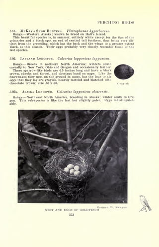 PERCHING BIRDS
535. McKay's SNOW BUNTING. Pletrophenax hyperboreus.
Range. Western Alaska; known to breed on Hall's Island.
This beautiful species is, in summer, entirely white except for the tips of the
primaries and a black spot on end of central tail feathers, thus being very dis-
tinct from the preceding, which has the back and the wings to a greater extent
black, at this season. Their eggs probably very closely resemble those of the
last species.
536. LAPLAND LONGSPUR. Calcarius lapponicus lapponicus.
Range. Breeds in northern North America ; winters south
casually to New York, Ohio and Oregon and occasionally farther.
These sparrow-like birds are 6.5 inches long and have a black
crown, cheeks and throat, and chestnut band on nape. Like the
Snowflakes they nest on the ground in moss, but the four to six
eggs that they lay are grayish, heavily mottled and blotched witii
chocolate brown; size .80 x .60. Grayish
536a. ALASKA LONGSPUR. Calcarius lapponicus alascensis.
Range. Northwest North America, breeding in Alaska; winter south to Ore-
gon. This sub-species is like the last but slightly paler. Eggs indistinguish-
able.
Norman W. Swayns
NEST AND EGGS OF GOLDFLNCH
333
 