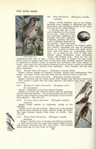 THE BIRD BOOK
581. SONG SPARROW.
melodia.
Melospiza melodia
Range. North America, east of the Plains,
breeding from Virginia to Manitoba and New
Brunswick, and wintering chiefly in the south-
ern half of the United States.
A favorite and one of the
most abundant in all sections
of the east. They are sweet
and persistent songsters and
frequent side hills, pastures,
roadsides, gardens and door-
yards if English Sparrows be
not present. They nest indif-
ferently upon the ground or in bushes, gener-
ally artfully concealing the nest by drooping
leaves; it is made of grass and weed stems,
lined with fine grass or, occasionally, horse
hair. As is usual in the case of birds that
abound about habitations they frequently
choose odd nesting sites. They lay two and
White
Song- Sparrow
sometimes three sets of eggs a season, from May to August, the eggs being
three to five in number and white or greenish white, marked, spotted, blotched
or splashed in endless variety of pattern and intensity, with many shades of
brown; some eggs are very heavily blotched so as to wholly obscure the ground
color while others are specked very sparingly. They measure .80 x .60 with
great variations.
581a. DESERT SONG SPARROW. Melospiza melodia fallax.
Range. Desert regions of southern Nevada, Arizona and southeastern Cali-
fornia. The eggs of this very pale form are the same as those of the last.
58 Ib. MOUNTAIN SONG SPARROW. Melospiza melodia montana.
Range. Rockies and the Great Basin from Oregon and Montana southward.
This variety is paler than the Song Sparrow but darker than fall ax. Eggs
the same.
58 Ic. HEERMAN'S SONG SPARROW. Melospiza melo-
dia heermanni.
Range. California, west of the Sierra Nevadas.
Similar to melodia but with less brown and the markings
blacker and more distinct. The nesting habits are the same
and the eggs similar to large dark specimens of the eastern
Song Sparrow. Size .85 x .62.
58 Id. SAMUELS SONG SPARROW. Melospiza melodia
samuelis.
Range. Coast regions of California, chiefly in the
marshes.
Similar to the last but smaller. They nest on the ground
in marsh grass, usually in sandy districts along the shore.
The eggs average smaller than those of melodia. Size
.78 x .58.
58 le. RUSTY SONG SPARROW. Melospiza melodia
morphna.
Range. Pacific coast of Oregon and British Columbia.
A dark species with the upper parts dark reddish brown
and heavily streaked with the same below. The nesting
habits and eggs are like those of melodia.
354
 
