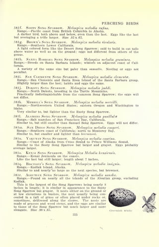 PERCHING BIRDS
581 f. SOOTY SONG SPARROW. Melospiza melodia rufina.
Range. Pacific coast from British Columbia to Alaska.
A darker bird, both above and below, even than the last. Eggs like the last
but averaging a trifle larger. Size .82 x .62.
58 Ig. BROWN'S SONG SPARROW. Melospiza melodia rivularis.
Range. Southern Lower California.
A light colored form like the Desert Song Sparrow; said to build in cat tails
above water as well as on the ground; eggs not different from others of the
genus.
58 Ih. SANTA BARBARA SONG SPARROW. Melospiza melodia graminea.
Range. Breeds on Santa Barbara Islands; winters on adjacent coast of Cali-
fornia.
A variety of the same size but paler than samuelis. Nesting or eggs not
peculiar.
58 li. SAN CLEMENTE SONG SPARROW. Melospiza melodia clementce.
Range. San Clemente and Santa Rosa Island of the Santa Barbara group.
Slightly larger than the last; habits and eggs the same.
581 j. DAKOTA SONG SPARROW. Melospiza melodia juddi.
Range. North Dakota, breeding in the Turtle Mountains.
Practically indistinguishable from the common Song Sparrow; the eggs will
not differ.
581k. MERRILL'S SONG SPARROW. Melospiza melodia merrillL
Range. Northwestern United States; eastern Oregon and Washington to
Idaho.
Very similar to, but lighter than the Rusty Song Sparrow.
5811. ALAMEDA SONG SPARROW. Melospiza melodia pusillula
Range. Salt marshes of San Francisco Bay, California.
Similar to, but still smaller than Samuel Song Sparrow. Eggs will not differ.
581m. SAN DIEGO SONG SPARROW. Melospiza melodia cooperi.
Range. Southern coast of California; north to Monterey Bay.
Similar to, but smaller and lighter than heermanni.
581 n. YAKUTAT SONG SPARROW. Melospiza melodia caurina.
Range. Coast of Alaska from Cross Sound to Prince Williams Sound.
Similar to the Sooty Song Sparrow but larger and grayer. Eggs probably
average larger.
58 lo. KENAI SONG SPARROW. Melospiza Melodia kenaiensis.
Range. Kenai Jeninsula on the coasts.
Like the last but still larger; length about 7 inches.
58 Iq. BISCHOFF'S SONG SPARROW. Melospiza melodia insignis.
Range. Kadiak Island, Alaska.
Similar to and nearly^s large as the next species, but browner.
58 Ir. ALEUTIAN SONG SPARROW. Melospiza melodia sanaka.
Range. Found on nearly all the islands of the Aleutian group, excluding
Kadiak.
This is the largest of the Song Sparrows being nearly 8
inches in length; it is similar in appearance to the Sooty
Song Sparrow but grayer. It nests either on the ground or
at low elevations in bushes, the nest usually being con-
cealed in a tuft of grass or often placed under rocks or,
sometimes, driftwood along the shores. The nests are
made of grasses and weed stems, and the eggs are similar
to those of the Song Sparrow but much larger and more
elongate. Size .90 x .65. Greenish white
355
 