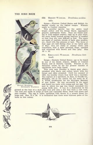 THE BIRD BOOK
669- HERMIT WARBLER. Dendroica occiden-
talis.
Range. Western United States and British Co-
lumbia chiefly on the higher ranges. Winters
south to Central America.
This peculiar species has the entire head
bright yellow and the throat black; upperparts
grayish, underparts white. They are found nest-
ing in wild rugged country, high up in pine trees,
the nests being located among bunches of needles
so that they are very difficult to find. The nests
are made of rootlets, shreds of bark, pine needles,
etc., lined with fine grasses or hair. The three or
four eggs are laid during June or the latter part
of May; they are white or creamy white, and
sometimes with a faint greenish tinge, specked
and wreathed with brown and lilac gray. Size
.68 x .52.
670. KIRTLAND'S WARBLER.
landi.
Dendroica kirt-
Range. Eastern United States; apt to be found
in any of the South Atlanic, Middle or Central
States, and in Ontario, Canada. Winters in the
Bahamas where by far the greater number of
specimens have been found.
This very rare Warbler is bluish gray above,
streaked with black, and yellow below with the
throat and sides streaked. Until the summer of
1903, the locality where they bred was a mystery.
The capture of a specimen, in June, in Oscodo Cc.,
Michigan, led to the search for the nests by N.
A. Wood, taxidermist for the Michigan Museum
at Ann Arbor. He was successful in his quest
and found two nests with young and one egg. The
nest in which the egg was found contained two
young birds also. It was in a depression in the
ground at the foot of a Jack pine tree and only a few feet from a cart road.
The nest was made of strips of bark and vegetable fibres, lined with grass and
pine needles. The egg is white, sprinkled with brown in a wreath about the
large end. Size .72 x .56. It is estimated that there were thirteen pairs of the
birds in this colony.
^Hermit Warblers
Kirtland's Warblers
404
 