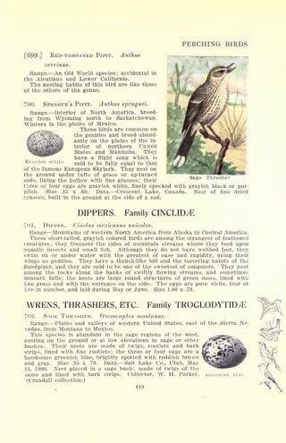 [699-] RED-THROATED PIPIT. Anthus
PERCHING BIRDS
'
cermnus.
Range. An Old World species; accidental in
the Aleutians and Lower California.
The nesting habits of this bird are like those
of the others of the genus.
700. SPRAGUE'S PIPIT. Anthus spraguei.
Range. Interior of North America, breed-
ing from Wyoming north to Saskatchewan.
Winters in the plains of Mexico.
These birds are common on
the prairies and breed abund-
antly on the plains of the in-
terior of northern United
States and Manitoba. They
have a flight song which is
Grayish white said to be fully equal to tnat
of the famous European Skylark. They nest on
the ground under tufts of grass or up-turned
sods, lining the hollow with fine grasses; their
three or four eggs are grayish white, finely specked with grayish black or pur-
plish. Size .85 x .60. Data. Crescent Lake, Canada. Nest of fine dried
[Trasses, built in the ground at the side of a sod.
Sage Thrasher
DIPPERS. Family CINCLID^E
701. DIPPER. Cinclus mexicanus unicolor.
Range Mountains of western North America from Alaska to Central America.
These short-tailed, grayish colored birds are among the strangest of feathered
creatures; they frequent the sides of mountain streams where they feed upon
aquatic insects and small fish. Although they do not have webbed feet, they
swim on or under water with the greatest of ease and rapidity, using their
wings as paddles. They have a thrush-like bill and the teetering habits of the
Sandpiper, and they are said to be one of the sweetest of songsters. They nest
among the rocks along the banks of swiftly flowing streams, and sometimes
beneath falls; the nests are large round structures of green moss, lined with
fine grass and with the entrance on the side. The eggs are pure white, four or
five in number, and laid during May or June. Size 1.00 x .70.
WRENS, THRASHERS, ETC. Family TROGLODYTID^
702. SAGE THRASHER. Oreoscoptes montanus.
Range. Plains and valleys of western United States, east of the Sierra Ne-
vadas, from Montana to Mexico.
This species is abundant in the sage regions of the west,
nesting on the ground or at low elevations in sage or other
bushes. Their nests are made of twigs, rootlets and bark
strips, lined with fine rootlets; the three or four eggs are a
handsome greenish blue, brightly spotted with reddish brown
and gray. Size .95 x .70. Data. Salt Lake Co., Utah, May
11, 1900. Nest placed in a sage bush; made of twigs of the
same and lined with bark strips. Collector, W. H. Parker,
(Crandall collection.)
419
Urreenish
 