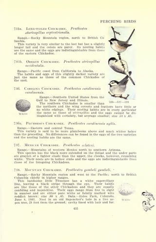 PERCHING BIRDS
735a. LONG-TAILED CHICKADEE. Penthestes
ataricapillus septentrionalis.
Range. Rocky Mountain region, north to British Co
lumbia.
This variety is very similar to the last but has a slightly
longer tail and the colors are purer. Its nesting habits
are the same and the eggs are indistinguishable from those
of the eastern Chickadee.
735b. OREGON CHICKADEE.
occidentals.
Penthestes atricapillus
Range. Pacific coast from California to Alaska.
The habits and eggs of this slightly darker variety are
just the same as those of the common Chickadee of
the east.
786. CAROLINA CHICKADEE.
carolinensis.
Penthestes carolinensis
537538
White
Range. Southern United States from the
Gulf to New Jersey and Illinois.
The southern Chickadee is smaller than
the northern and the wing coverts and feathers have little or
no white edgings, Their nesting habits are in every particular
the same as those of atricapillus and the eggs cannot be dis-
tinguished with certainty, but average smaller; size .53 x .43.
736a. PLUMBEOUS CHICKADEE. Penthestes carolinensis agilis.
Range. Eastern and central Texas.
This variety is said to be more plumbeous above and much whiter below
than the preceding. No differences can be found in the eggs of the two varieties
and the nesting habits are the same.
737. MEXICAN CHICKADEE. Penthestes sclateri.
Range. Mountains of western Mexico north to southern Arizona.
This species has the black more extended on the throat and the under parts
are grayish of a lighter shade than the upper, the cheeks, however, remaining
white. Their nests are in hollow stubs and the eggs are indistinguishable from
those of the foregoing Chickadees.
738. MOUNTAIN CHICKADEE. Penthestes gambeli gambeli.
Range. Rocky Mountain region and west to the Pacific; north to British
Columbia chiefly in higher ranges.
This handsome little Titmouse has a white superciliary
line, leaving a black stripe through the eye. Their habits
are like those of the other Chickadees and they are equally
confiding and inquisitive. Their eggs range from five to eight ^v:
:
, ;
in number and are either pure white or faintly marked with
reddish brown; size .60 x .45. Data. Estes Park, Colorado,
June 8, 1803. Nest in an old Sapsucker's hole in a live as- viiite
pen tree, 28 feet from the ground; cavity lined with hair and fur.
435
 