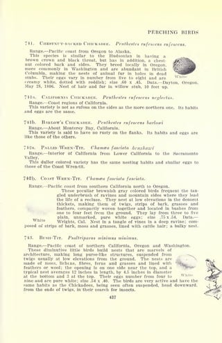 PERCHING BIRDS
741. CHESTNUT-BACKED CHICKADEE. Penthestes rufescens rufescens.
Range. Pacific coast from Oregon to Alaska.
This species is similar to the Hudsonian in having a
brown crown and black throat, but has in addition, a chest-
nut colored back and sides. They breed locally in Oregon,
more commonly in Washington and are abundant in British
Columbia, making the nests of animal fur in holes in dead
stubs. Their eggs vary in number from five to eight and are
creamy white, dotted with reddish; size .60 x .45. Data. Dayton, Oregon,
May 28, 1806. Nest of hair and fur in willow stub, 10 feet up.
74 la. CALIFORNIA CHICKADEE. Penthestes rufescens neglectus.
Range. Coast regions of California.
This variety is not as rufous on the sides as the more northern one. Its habits
and eggs are the same.
741b. BARLOW'S CHICKADEE. Penthestes rufescens barlowi
Range. About Monterey Bay, California.
This variety is said to have no rusty on the flanks. Its habits and eggs are
like those of the others.
742a. PALLID WREN-TIT. Chamcea fasciata henshawi
Range. Interior of California from Lower California to the Sacramento
Valley.
This duller colored variety has the same nesting habits and similar eggs to
those of the Coast Wren-tit.
742b. COAST WREN-TIT. Chamcea fasciata fasciata.
Range. Pacific coast from southern California north to Oregon.
These peculiar brownish gray colored birds frequent the tan-
gled underbrush of ravines and mountain sides where they lead
the life of a recluse. They nest at low elevations in the densest
thickets, making them of twigs, strips of bark, grasses and
feathers, compactly woven together and located in bushes from
one to four feet from the ground. They lay from three to five
plain, unmarked, pure white eggs; size .75 x .54. Data.
Wrights, Cal. Nest in a tangle of vines in a deep ravine; com-
posed of strips of bark, moss and grasses, lined with cattle hair; a bulky nest.
743. BusH-TiT. Psaltriparus minimus minimus.
Range. Pacific coast of northern California, Oregon and Washington.
These diminutive little birds build nests that are marvels of
architecture, making long purse-like structures, suspended from
twigs usually at low elevations from the ground. The nests are
made of moss, lichens, fibres, ferns and grasses and lined with
feathers or wool; the opening is on one side near the top, and a
typical nest averages 12 inches in length, by 4.5 inches in diameter
at the bottom and 3 at the top. Their eggs number from four to
nine and are pure white; size .54 x .40. The birds are very active and have the
same habits as the Chickadees, being seen often suspended, head downward,
from the ends of twigs, in their search for insects.
437
 