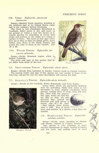 PERCHING BIRDS
756. VEERY. Hylocichla fuscescens
fuscescens.
Range. Eastern North America, breeding in
the northern half of its United States range
and in the southern British Provinces.
The Veery is very abundantly distributed in
woodland, either moist or dry, and nests on
the ground or within a very few inches of it,
usually placing its structures of woven bark
strips and grasses, in the midst of a clump 01'
sprouts or ferns. The three or four eggs which
they lay in May or June are bluish green, much
darker than those of the Wood Thrush, and
nearly the color of those of the Catbird. Size
.90 x .65.
756a. WILLOW THRUSH. Hylocichla fus-
cescens salicicola.
Range. Rocky Mountain region, north tQ
British Columbia. V *
The nests and eggs of this similar bird dp
not differ from those of the last. Wood Thrusl
757. GRAY-CHEEKED THRUSH. Hylocichla alicice alicice. ,,
Range. Breeds from Labrador to Alaska; winters south to Central America.
The nesting habits and eggs of this species are very similar to those of the
following sub-species and the same description will answer for both.
757. BICKNELL'S THRUSH. Hylocichla alicice bicknelli.
Range.--Breeds in the Catskills, White Mountatins and Nova Scotia.
These birds, which are practically identical
with the preceding, build their nests at low
elevations in trees, usually evergreens when
present, making them of twigs, moss and root-
lets, lined with fine grasses.
The eggs, which are laid dur-
ing May or June, are pale
greenish blue, spotted and
blotched with pale brown or
russet. Size .88 x .64. Data.
Seal Island, Nova Scotia,
June 3, 1901. Nest of green
Greenish blue
moss and rootlets, in a spruce, 5 feet from the
ground.
758. RUSSET-BACKED THRUSH. Hylocichla
ustulata ustulata.
Range. Pacific coast, breeding in Oregon
and Alaska; winters in Central America.
This species is very abundant in moist
thickets throughout its range, nesting in bushes
Wilson's Thrush and low trees, and making them of weed
443
 
