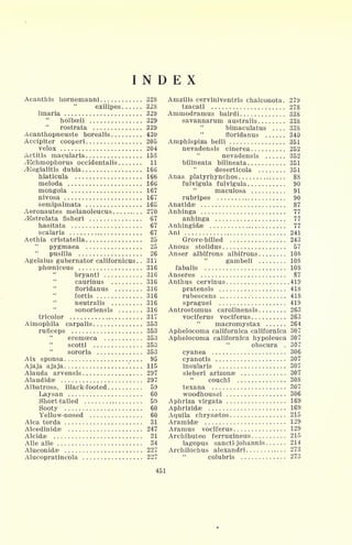 INDEX
Acanthis hornemanni 328
exilipes 328
linaria 329
"
holboeli 329
rostrata 329
Acanthopneuste borealis 430
Accipiter cooperi 205
velox 204
Actitis macularia 158
^Echmophorus occidentalis 11
^egialitis dubia 166
hiaticula 166
meloda 166
mongola 167
nivosa 167
semipalmata 165
Aeronautes melanoleucus 270
^Estrelata fisheri 67
hasitata 67
scalaris 67
Aethia cristatella 25
pygmaea 25
pusilla 26
Agelaius gubernator californicus . . 317
phoeniceus 316
bryanti 316
caurinus 316
"
floridanus 316
fortis 316
neutralis 316
sonoriensis 316
tricolor 317
Aimophila carpalis 353
ruficeps 353
eremceca 353
scotti 353
sororia 353
Aix sponsa 95
Ajaja ajaja 115
Alauda arvensis 297
Alaudidae 297
Albatross, Black-footed 59
Laysan 60
Short-tailed 59
Sooty 60
Yellow-nosed 60
Alca torda 31
Alcedinidae 247
Alcidae 21
Alle alle 34
Aluconidae 227
Alucopratincola 227
Amzilis cerviniventris chalconota. 279
tzacatl 278
Ammodramus bairdi 338
savannarum australis 338
bimaculatus 338
floridanus 340
Amphispiza belli 351
nevadensis cinerea 252
nevadensis 352
bilineata bilineata 351
deserticola 351
Anas platyrhynchos 88
fulvigula fulvigula 90
maculosa 91
rubripes 90
Anatidae 87
Anhinga 77
anhinga 77
Anhingidae 77
Ani 241
Grove-billed 243
Anous stolidus 57
Anser albifrons albifrons 108
gambeli 108
fabalis 108
Anseres 87
Anthus cervinus 419
pratensis 418
rubescens 418
spraguei 419
Antrostomus carolinensis 263
vociferus vociferus 263
"
macromystax 264
Aphelocoma californica californica 307
Aphelocoma californica hypoleuca 307
obscura . 307
cyanea 306
cyanotis 307
insularis 307
sieberi arizonae 307
couchi 308
texana 307
woodhousei 306
Aphriza virgata 169
Aphrizidae 169
Aquila chrysaetos 215
Aramidae 129
Aramus vociferus 129
Archibuteo ferrugineus 215
lagopus sancti-johannis 214
Archilochus alexandri 273
colubris 273
451
 