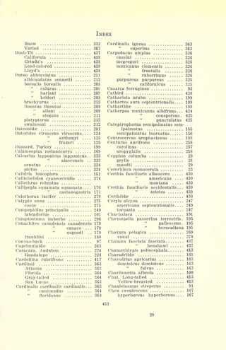 INDEX
Snow 332
Varied 367
Bush-Tit 437
California 438
Grinda's 438
Lead-colored 438
Lloyd's 438
Buteo abbreviatus 211
albicaudatus sennetti 212
borealis borealis 208
calurus 20
harlani 20?
krideri 208
brachyurus 213
lineatus lineatus 209
alleni 209
elegans 211
platypterus 213
swainsoni 212
Buteonidae 201
Butorides virescens virescens. . . . 124
"
anthonyi .... 125
frazari 125
Buzzard, Turkey 199
Calamospiza melanocorys 369
Calcarius lapponicus lapponicus.. 333
alascensis . . 333
ornatus 334
pictus 334
Calidris leucophaea 151
Callichelidon cyaneoviridis 374
Callothrus robustus
Callipepla squamata squamata. . . . 176
"
castanogastris 177
Calothorax lucifer 278
Calypte anna 275
costae 275
Campephilus principalis 249
labradorius 101
Camptostoma imberbe 296
Canachites canadensis canadensis 179
canace . . . 179
osgoodi . . 179
franklini 180
Canvas-back 97
Caprimulgidse 263
Caracara, Audubon 224
Guadalupe 224
Cardellina rubrifrons 417
Cardinal 363
Arizona 363
Florida 364
Gray-tailed 364
San Lucas 363
Cardinalis cardinalis cardinalis . . . 363
canicaudus 364
floridanus , . 364
Cardinalis igneus 363
"
superbus 363
Carpodacus amplus 326
cassini 326
mcgregori 326
mexicanus dementis 326
frontalis 326
ruberrimus 326
purpureus purpureus 325
californicus 325
Casarca ferruginea 93
Catbird 420
Catharista urubu 199
Cathartes aura septentrionalis 199
Cathartidae 198
Catherpes mexicanus albifrons . . . 424
conspersus. 425
punctulatus 425
Catoptrophorus semipalmatus sem-
ipalmatus 155
semipalmatus inornatus ...... 156
Centrocercus urophasianus 188
Centurus aurifrons 258
carolinus 257
uropygialis 258
Cepphus columba 29
grylle 28
mandti 29
Cerorhinca monocerata 23
Certhia familiaris albescens 430
americana .... 430
montana 430
Certhia familiaris occidentalis . . . 430
zelotes 430
Certhiidse 430
Ceryle alcyon 247
americana septentrionalis.... 249
torquata 247
Chachalaca 191
Chsemepelia passerina terrestris. 195
pallescens. 195
"
bermudiana 195
Chaetura pelagica 269
vauxi 270
Chamaea fasciata fasciata 437
henshawi 437
Chamaethlypis poliocephala 413
Charadriidae 161
Charadrius apricarius 163
dominicus dominicus 163
fulvus 163
Charitonetta albeola 100
Chat, Long-tailed 413
Yellow-breasted 413
Chaulelasmus streperus 91
Chen caerulescens 107
hyperboreus hyperboreus 107
453
2!)
 