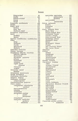 INDEX
Ring-necked , 98
Ruddy 166
Rufous-crested 95
Scaup 97
Wood 95
Dumetella carolinensis 420
Dunlin 149
Eagle, Bald 217
Golden 215
Gray Sea 217
Northern .Bald 217
Ectopistes migratorius 193
Egret 122
Reddish 123
Snowy 122
Egretta candidissima candidissima 122
Eider 103
King 104
Northern 102
Pacific 103
Spectacled 102
Steller's 102
Elanoides forficatus 201
Elanus leucurus 201
Empidonax difficilis cineritius 294
difficilis difficilis 293
flaviventris 293
fulvifrons pygmaeus 296
griseus 296
hammondi 295
minimus 295
trailli trailli 294
alnorum 295
virescens 294
wrighti 295
Ereunetes mauri 151
pusillus 150
Erismatura jamaicensis 10G
Erolia ferruginea 149
Eudromias morinellus 161
Eugenes fulgens 271
Euphagus carolinus 322
cyanocephalus 322
Eurynorhynchus pygmeus . . 150
Palco aesalon 221
columbarius columbarius .... 220
suckleyi 220
fusco-cserulescens 221
islandus 218
mexicanus 219
peregrinus anatum 220
pealei 220
"
peregrinus 219
richardsoni 220
rusticolus rusticolus 218
gyrfalco 218
"
obsoletus . . 219
sparverius sparverius 222
peninsularis 222
phalcena 221
sparveroides 222
tinnunculus 221
Falcon Aplomado 221
Peale's 220
Peregrine 219
Prairie 219
Finch, Aleutian Rosy 327
Black Rosy 328
Brown-capped Rosy 328
California Purple 325
Cassin's Purple 326
Gray-crowned Rosy 328
Guadalupe House 326
Hepburn's Rosy 328
House 32o
McGregor's House 326
Purple 325
San Clemente House 326
San Lucas House 326
Flamingo 115
Flicker 258
Gilded 262
Guadalupe 262
Northern 259
Northwestern 259
Red-shafted 259
Florida Ccerulea 124
Flycatcher, Acadian 294
Alder 295
Arizona Crested 286
Ash-throated 286
Beardless 296
Buff-breasted 296
Coues's 291
Crested 285
Derby 284
Fork-tailed 280
Gray 296
Hammond's 295
Least 295
Lower California 287
Flycatcher, Mexican Crested. 286
Olivaceous 287
Olive-sided 290
San Lucas 294
Scissor-tailed 281
Sulphur-bellied 285
Traill's 294
Vermilion 296
Western 293
Wright's 295
Yellow-bellied 293
Fratercula arctica arctica 22
"
naumanni 23
456
 