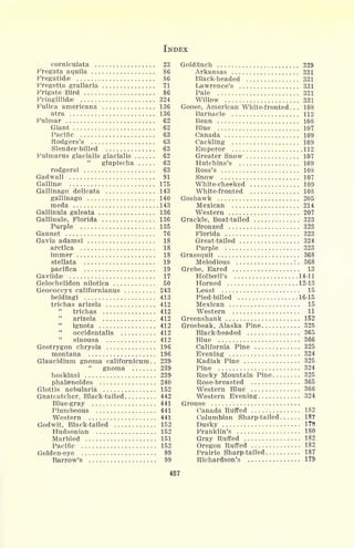 INDEX
corniculata 23
Fregata aquila 86
Fregatidae 86
Fregetta grallaria 71
Frigate Bird 86
Fringillidae 324
Fulica americana 136
atra 136
Fulmar 62
Giant 62
Pacific 63
Rodgers's 63
Slender-billed 63
Fulmarus glacialis glacialis 62
"
glupischa 63
rodgersi 63
Gadwall 91
Gallinae 175
Gallinago delicata 143
gallinago 140
meda 143
Gallinula galeata 136
Gallinule, Florida 136
Purple 135
Gannet 76
Gavia adamsi 18
arctica 18
immer 18
stellata 19
pacifica 19
Gaviidae 17
Gelochelidon nilotica 50
Geococcyx californianus 243
beldingi 413
trichas arizela 412
"
trichas 412
"
arizela 412
"
ignota 412
occidentalis 412
"
sinousa 412
Geotrygon chrysia 196
montana 196
Glaucidium gnoma californicum .. 239
"
gnoma 239
hoskinsi 239
phalaenoides 240
Glottis nebularia 152
Gnatcatcher, Black-tailed 442
Blue-gray 441
Plumbeous 441
Western 441
Godwit, Black-tailed 152
Hudsonian 152
Marbled 151
Pacific 152
Golden-eye 99
Barrow's 99
Goldfinch 329
Arkansas 331
Black-headed 331
Lawrence's 331
Pale 331
Willow 331
Goose, American White-fronted. . . 108
Barnacle 112
Bean 108
Blue 107
Canada 109
Cackling 109
Emperor 112
Greater Snow 107
Hutchins's 109
Ross's 108
Snow 107
White-cheeked 109
White-fronted 108
Goshawk 205
Mexican 214
Western 207
Grackle, Boat-tailed 323
Bronzed 323
Florida 323
Great-tailed 324
Purple 323
Grassquit 368
Melodious : . 368
Grebe, Eared 13
Holbcell's 14-11
Horned 12-13
Least 15
Pied-billed 16-15
Mexican 15
Western 11
Greenshank 152
Grosbeak, Alaska Pine 325
Black-headed 365
Blue 366
California Pine 325
Evening 324
Kadiak Pine 325
Pine 324
Rocky Mountain Pine 325
Rose-breasted 365
Western Blue 366
Western Evening 324
Grouse
Canada Ruffed 182
Columbian Sharp-tailed 187
Dusky 178
Franklin's 180
Gray Ruffed 182
Oregon Ruffed 182
Prairie Sharp-tailed 187
Richardson's 179
457
 