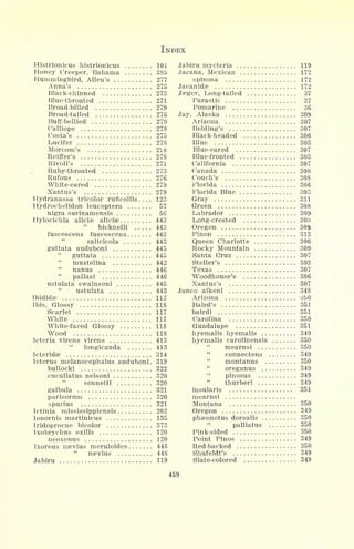 INDEX
Histrionicus histrionicus
Honey Creeper, Bahama
Hummingbird, Allen's
Anna's
Black-chinned
Blue-throated
Broad-billed
Broad-tailed
Buff-bellied
Calliope
Costa's
Lucifer
Morcom's
Reiffer's
Rivoli's
Ruby-throated
Rufous
White-eared
Xantus's
Hydranassa tricolor ruficollis. . .
Hydrochelidon leucoptera
nigra surinamensis
Hylocichla alicise aliciae
"
bicknelli
fuscescens fuscescens
salicicola
guttata auduboni
"
guttata
mustelina
nanus
"
pallasi
ustulata swainsoni
ustulata
Ibididae
Ibis, Glossy
Scarlet
White
White-faced Glossy
Wood
Icteria virens virens
longicauda
Icteridse
Icterus melanocephalus auduboni,
bullocki
cucullatus nelsoni
sennetti
galbula
parisorum ,
spurius ,
Ictinia mississippiensis
lonornis martinicus
Iridoprocne bicolor
Ixobrychus exilis
neoxenus
Ixoreus naevius meruloides
"
nsevius
Jabiru .
101 Jabiru mycteria 119
385 Jacana, Mexican 172
277 spinosa 172
275 Jacanidae 172
273 Jaeger, Long-tailed 37
271 Parastic 37
279 Pomarine 36
276 Jay, Alaska 309
279 Arizona 307
278 Belding's 307
275 Black-headed 306
278 Blue 303
2*<8 Blue-eared 307
278 Blue-fronted 303
271 California 307
273 Canada 308
276 Couch's 308
279 Florida 306
279 Florida Blue 303
123 Gray 311
57 Green 308
56 Labrador 309
443 Long-crested 30^
443 Oregon 309
443 Pinon 313
443 Queen Charlotte . , 306
445 Rocky Mountain 309
445 Santa Cruz 307
442 Steller's 303
446 Texas 307
446 Woodhouse's 306
445 Xantus's 307
443 Junco aikeni 348
117 Arizona 350
118 Baird's 351
117 bairdi 351
117 Carolina 350
118 Guadalupe 351
118 hyemalis hyemalis 349
413 hyemalis carolinensis 350
413 mearnsi 350
314
'
connectens 349
319 montanus 350
322
'
oreganus 349
320
'
pinosus 349
320
'
thurberi 349
321 insularis 351
320 mearnsi
321 Montana 350
202 Oregon 349
135 phaeonotus dorsalis 350
373
"
palliatus 350
120 Pink-sided 350
120 Point Pinos 349
448 Red-backed 350
448 Shufeldt's 349
119 Slate-colored 349
459
 
