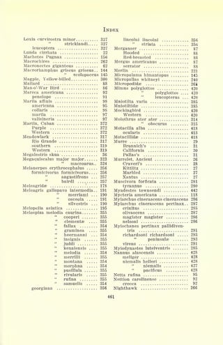 INDEX
Loxia curvirostra minor 327
Strickland! 327
leucoptera 327
Lunda cirrhata 22
Machetes Pugnax 156
Macrochires 262
Macronectes giganteus 62
Macrorhamphus griseus griseus.. 144
"
scolopaceus 145
Magpie, Yellow-billed 300
Mallard 88
Man-o'-War Bird 86
Mareca americana 92
penelope 91
Marila affinis 98
americana 95
collaris 98
marila 97
valisineria 97
Martin, Cuban 372
Purple 372
Western 372
Meadowlark 317
Rio Grande 317
southern 319
Western 319
Megalestris skua 36
Megaquiscalus major major 323
"
macrourus.. 324
Melanerpes erythrocephalus 256
formicivorus formicivorus .... 256
"
angustifrons . . . 257
bairdi 257
Meleagridse
'
178
Meleagris gallopavo intermedia.. 191
merriami ... 190
"
osceola 191
"
silvestris . . . 190
Melopelia asiatica 195
Melospiza melodia caurina 355
"
cooperi 355
"
clementse .... 355
"
fallax 354
"
graminea 355
heermanni . . . 354
"
insignis 355
juddi 355
"
kenaiensis .... 355
"
melodia 354
merrilli 355
montana 354
"
morphna 354
"
pusillula 355
rivularis 355
"
rufina 355
"
samuelis 354
georgiana 356
lincolni lineolni 356
"
striata 356
Merganser 87
Hooded 88
Red-breasted 88
Mergus americanus 87
serrator 88
Merlin 221
Micropalama himantopus 145
Micropallas whitneyi 240
Micropodidae 268
Mimus polyglottos 420
polyglottos 420
leucopterus . . . 420
Mniotilta varia 385
Mniotiltidse 385
Mockingbird 420
Western 420
Molothrus ater ater 314
"
obscurus 315
Motacilla alba 418
ocularis 418
Motacillidse 418
Murre 29
Brunnich's 31
California 30
Pallas's 31
Murrelet, Ancient 26
Craveri's 28
Kittlitz 27
Marbled 27
Xantus 27
Muscivora forficata 281
tyrannus 280
Myadestes townsendi 442
Mycteria americana 118
Myiarchus cinerascens cinerascens 286
Myiarchus cinerascens pertinax. . 287
crinitus 285
olivascens 287
magister magister 286
nelsoni 286
Myiochanes pertinax pallidiven-
tris 291
richardsoni richardsoni 293
peninsulas 293
virens 291
Myiodynastes luteiventris 285
Nannus alascensis 428
meliger 428
niemalis helleri 428
niemalis 427
pacificus 428
Netta rufina 95
Nettion carolinense 92
crecca 92
Nighthawk 266
46X
 