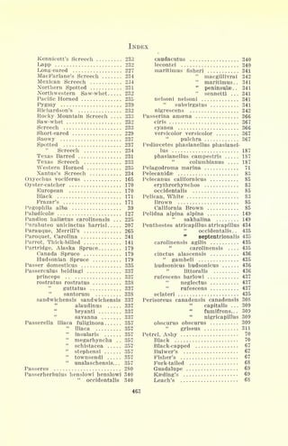 INDEX
Kennicott's Screech 233
Lapp 232
Long-eared 227
MacParlane's Screech 234
Mexican Screech 234
Northern Spotted 231
Northwestern Saw-whet 232
Pacific Horned 235
Pygmy 239
Richardson's 232
Rocky Mountain Screech .... 233
Saw-whet 232
Screech 233
Short-eared 229
Snowy 237
Spotted 237
Screech 234
Texas Barred 231
Texas Screech 233
Western Horned 235
Xantus's Screech 234
Oxyechus vociferus 165
Oyster-catcher 170
European 170
Black 171
Prazar's 171
Pagophila alba 39
Paludicolae 127
Pandion haliaetus carolinensis . . . 225
Parabuteo unicinctus harrisi 207
Parauque, Merrill's 265
Paroquet, Carolina 241
Parrot, Thick-billed 141
Partridge, Alaska Spruce 179
Canada Spruce 179
Hudsonian Spruce 179
Passer domesticus 335
Passerculus beldingi 337
princeps 337
rostratus rostratus 338
guttatus 337
santorum 338
sandwichensis sandwichensis 337
alaudinus 337
bryanti 337
savanna 337
Passerella iliaca fuliginosa 357
"
iliaca 357
"
insularis 357
megarhyncha . . 357
"
schistacea 357
"
stephensi 357
"
townsendi 357
"
unalaschensis. . . 357
Passeres 280
Passerherbulus henslowi henslowi 340
"
occidentalis 340
caudacutus 340
lecontei 340
maritimus fisheri 341
"
macgillivrai 342
"
maritimus.. 341
"
peninsulse . . 341
"
sennetti ... 341
nelsoni nelsoni 341
subvirgatus 341
nigrescens 342
Passerina amoena 366
ciris 367
cyanea 366
versicolor versicolor 367
pulchra 367
Pedicecetes phasianellus phasianel-
lus 187
phasianellus campestris 187
columbianus 187
Pelagodroma marina 71
Pelecanidse 83
Pelecanus californicus 85
erythrorhynchos 83
occidentalis 85
Pelican, White 83
Brown 85
California Brown 85
Pelidna alpina alpina 149
sakhalina 149
Penthestes atricapillus atricapillus 434
occidentalis.. 435
"
septentrionalis 435
carolinensis agilis 435
carolinensis .... 435
cinctus alascensis 436
"
gambeli 435
hudsonicus hudsonicus 436
littoralis 436
rufescens barlowi 437
neglectus 437
"
rufescens 437
sclateri 435
Perisoreus canadensis canadensis 308
capitalis ... 309
fumifrons. . . 309
nigricapillus 309
obscurus obscurus 309
"
griseus 311
Petrel, Ashy 70
Black 70
Black-capped 67
Bulwer's 67
Fisher's 67
Fork-tailed 68
Guadalupe 69
Kaeding's 69
Leach's 68
463
 