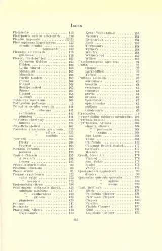 INDEX
Plataleidae 115
Platypsaris aglaise albiventris 280
Plautus impennis 32-33
Plectrophenax hyperboreus 333
nivalis nivalis 332
"
townsendi .... 332
Plegadis autumnalis 118
guarauna 118
Plover, Black-bellied 161
European Golden 163
Golden , 163
Little Ringed 166
Mongolian 167
Mountain 168
Pacific Golden 163
Piping 166
Ringed 166
Semipalmated 165
Snowy 167
Upland 156
Wilson's 168
Podasocys montanus 168
Podilymbus podiceps 15
Polioptila caerulea caerulea 441
obscura 441 .
californica 442
plumbea 441
Polyborus cheriway 224
lutosus 224
Polysticta stelleri 102
Pocecetes gramineus gramineus.. 335
affinis 335
confinis .... 335
Poor-will 264
Dusky 264
Frosted 264
Porzana Carolina 133
porzana 133
Prairie Chicken 185
Attwater's ,
186
Lesser 187
Priocella glacialoides 63
Priofinus cinereus 66
Procellariidse 61
Progne cryptoleuca 372
subis subis 372
"
hesperia 372
Protonotaria citrea 386
Psaltriparus melanotis lloydi 438
minimus minimus 437
"
californicus 438
"
grindae 438
plumbeus 438
Psittaci 241
Psittacida? 241
Ptarmigan, Allen's 183
Evermann's . . 184
Kenai White-tailed 185
Nelson's 134
Reinhardt's 184
Rock 183
Townsend's 184
Turner's 184
Welch's 184
White-tailed 185
Willow 183
Ptychoramphus aleuticus 24
Puffin 22
Horned 23
Large-billed 23
Tufted 22
Puffinus assimilis 65
auricularis 65
borealis 64
creatopus 65
cuneatus 66
gravis 64
griseus 66
Iherminieri 65
opisthomelas 65
puffinus 64
tenuirostris 66
Pygopodes 10
Pyrocephalus rubineus mexicanus. 296
Pyrrhula cassini 325
Pyrrhuloxia, Arizona 364
sinuata sinuata 364
peninsulas 364
"
texana 364
San Lucas 364
Texas 364
California 177
Chestnut Bellied Scaled 177
Gambel's 177
Mearn's 178
Quail, Mountain 176
Plumed 176
San Pedro 176
Scaled 176
Valley 177
Querquedula cyanoptera 93
discors 93
Quiscalus quiscula quiscula 323
"
aglaeus 323
asneus 323
Rail, Belding's 131
Black 134
California Clapper 131
Carribean Clapper 132
Clapper 132
Farallon 134
Florida Clapper 132
King 131
Louisiana Clapper 132
465
 