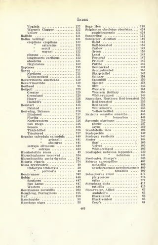 INDEX
Virginia 133
Wayne's Clapper 132
Yellow 131
Rallidae 131
Rallus beldingi . . 131
crepitans crepitans 132
saturatus 132
scotti 132
waynei 132
elegans 131
longirostris caribaeus 132
obsoletus 131
virginianus 132
Raptores 198
Raven 311
Northern 311
White-necked 311
Recurvirostra americana 139
Recurvirostridae 139
Redhead 95
Redpoll 329
Greater 329
Greenland 328
Hoary 328
Holbcell's 329
Redstart 415
Painted 417
Red-wing, Bahama 316
Bicolored 317
Florida 316
Northwestern 316
San Diego 316
Sonora 316
Thick-billed 316
Tricolored 317
Regulus calendula calendula 440
grinnelli 441
"
obscurus . 441
satrapa olivaceus 440
"
satrapa 439
Rhodostethia rosea 49
Rhynchophanes mccowni 334
Rhynchopsitta pachyrhyncha .... 241
Riparia riparia 374
Rissa brevirostris 40
tridactyla tridactyla 39
"
pollicaris 40
Road-runner 243
Robin 446
Southern 447
San Lucas 447
Western 446
Rostrhamus sociabilis 202
Rough-leg, Ferruginous 215
Ruff 156
Rynchopidae 58
Rynchops nigra 58
Sage Hen 188
Salpinctes obsoletus obsoletus 424
guadeloupensis 424
Sanderling 151
Sandpiper, Aleutian 146
Baird 148
Buff-breasted 158
Curlew 149
Green 155
Least 148
Pectoral 147
Pribilof 147
Purple 146
Red-backed 149
Semipalmated 150
Sharp-tailed 147
Solitary 154
Spoonbill 150
Spotted 158
Stilt 145
Western 151
Western Solitary 155
White-rumped 148
Sapsucker, Northern Red-breasted 255
Red-breasted 255
Red-naped 254
Williamson's 255
Yellow-bellied 254
Saxicola cenanthe cenanthe 448
"
leucorhoa 448
Sayornis nigricans 289
phoebe 287
sayus 289
Scardafella inca 196
Scolopacidse 140
Scolopax rusticola 140
Scoter 104
Surf |..
105
Velvet 105
White-winged 105
Scotiaptex nebulosa lapponica. . . . 232
"
nebulosa .... 231
Seed-eater, Sharpe's 368
Seiurus aurocapillus 407
motacilla 409
noveboracensis noveboracensis 409
notabilis 409
Selasphorus alleni 276
platycercus 276
rufus 277
Steophaga picta 417
ruticilla 415
Shearwater, Allied 65
Audubon's 65
Black-tailed 66
Black-vented 65
Cory's 64
466
 