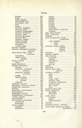 INDEX
Swamp 356
Texas 357
Texas Seaside 341
Thick-billed Fox 357
Townsend's Fox 357
Tree 345
Vesper 335
Western Chipping 346
Western Field 348
Western Grasshopper 338
Western Henslow's 340
Western Lark 342
Western Savannah 337
Western Tree 345
Western Vesper 335
White-crowned 343
White-throated 345
Worth'en's 348
Yakutat Song 355
Spatula clypeata 94
Speotyto cunicularia floridana 239
hypogaea 238
Sphyrapicus ruber ruber 255
"
notkensis 255
thyroideus 255
varius varius 254
nuchalis 254
Spinus notatus 331
pinus 332
Spiza americana 368
Spi/ella atrogularis 348
breweri 346
monticola monticola 345
ochracea 345
passerina arizonae 346
"
passerina 345
pallida 346
pusilla pusilla 348
"
arenacea 348
"
arizonae 346
wortheni 348
Spoonbill, Roseate 115
tsporophila morelleti sharpei 368
Squatarola squatarola 161
Starling 314
Starncenas cyanocephala 196
Steganopodes 72
Stegonopus tricolor 138
Stelgidopteryx serripennis 374
nt.ellula calliope 278
Stercorariidae 35
Stercorarius longicaudus 37
parasiticus 37
pomarinus 36
Sterna aleutica 54
anaetheta 56
antillarum 55
caspia 50
dougalli 54
elegans 51
forsteri 53
fuscata 55
hirundo 53
maxima 51
paradissea 54
sandvicensis acuflavida 52
trudeaui 52
Stilt, Black-necked 139
Stint, Long-toed 149
Strigidae 227
Strix occidentalis caurina 231
occidentalis ... 231
varia allogilva 231
"
alleni 229
"
varia 229
Sturnella magna magna 317
"
argutula 319
hoopesi 317
"
neglecta 319
Sturnidae 314
Sturnus vulgaris 314
Sula bassana 76
brewsteri 75
cyanops 74
leucogactra 75
nebouxi 74
piscator 75
Sulidae 74
Surf Bird 169
Surnia ulula ulula 237
"
caparoch 238
Swallow, Bahama 374
Bank 374
Barn 373
Cliff 372
Cuban Cliff 373
Mexican Cliff 373
Northern Violet-green 374
Rough-winged 374
San Lucas 374
Tree 373
Swallow-tailed Kite 201
Swan, Trumpeter 114
Whistling 114
Whooping H4
Swift, Black 268
Chimney 269
Vaux's 270
White-throated 270
Slyviidae
433
Sylthliboramphus antiquus 26
Tachycineta thalassina lepida 374
"
brachyptera 374
468
 