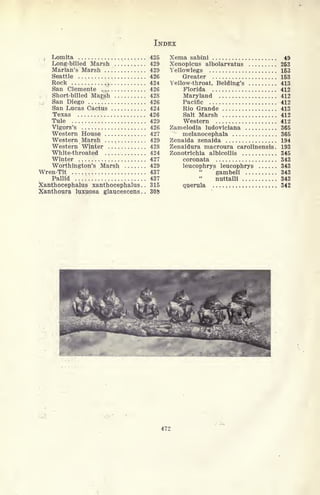 INDEX
r Lomita 425
Long-billed Marsh .......... 429
Marian's Marsh 429
Seattle 426
Rock ......... .
^| f
. 424
San Clemente .
00 426
I Short-billed Mar;
sh 428
,
j
San Diego ".*' 426
San Lucas Cactus 424
Texas ...... 426
Tule ,.. 429
Vigors's 426
Western House 427
Western Marsh 429
Western
'
Winter ........ 428
White-throated .... . . ....... 424
Winter ............. 427
Worthington's Marsh ....... 429
wren-tit I;..::.;......;........ 437
Pallid ..::;. 437
Xanthocephalus xanthocephalus . . 315
Xanthpura luxuosa glaucescens . . 30^
Xema sabini 49
Xenopicus albolarvatus 253
Yellowlegs 153
Greater 153
Yellow-throat, Belding's 413
Florida 412
Maryland 412
Pacific 412
Rio Grande 413
Salt Marsh 412
Western 412
Zamelodia ludoviciana 365
melanocephala 365
Zenaida zenaida 194
Zenaidura macroura carolinensis . 193
Zonotrichia albicollis 345
coronata 343
leucophrys leucophrys 343
"
gambeli 343
nuttalli 343
querula ....,..,.,, , , . , 342
472
 
