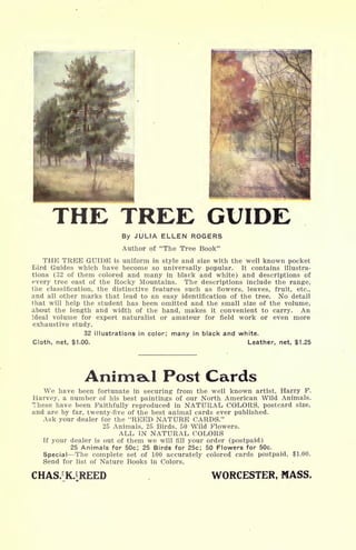 THE TREE GUIDE
By JULIA ELLEN ROGERS
Author of "The Tree Book"
THE TREE GUIDE is uniform in style and size with the well known pocket
Bird Guides which have become so universally popular. It contains illustra-
tions (32 of them colored and many in black and white) and descriptions of
every tree east of the Rocky Mountains. The descriptions include the range,
the classification, the distinctive features such as flowers, leaves, fruit, etc.,
and all other marks that lead to an easy identification of the tree. No detail
that will help the student has been omitted and the small size of the volume,
about the length and width of the hand, makes it convenient to carry. An
ideal volume for expert naturalist or amateur for field work or even more
exhaustive study.
32 illustrations in color; many in black and white.
Cloth, net, $1.00. Leather, net, $1.25
AnimaJ Post Cards
We have been fortunate in securing from the well known artist, Harry F.
Harvey, a number of his best paintings of our North American Wild Animals.
These have been Faithfully reproduced in NATURAL COLORS, postcard size,
and are by far, twenty-five of the best animal cards ever published.
Ask your dealer for the "REED NATURE CARDS."
25 Animals, 25 Birds, 50 Wild Flowers.
ALL IN NATURAL COLORS
If your dealer is out of them we will fill your order (postpaid)
25 Animals for 50c; 25 Birds for 25c; 50 Flowers for 50c.
Special The complete set of 100 accurately colored cards postpaid, $1.00.
Send for list of Nature Books in Colors,
CHAS/:K.|REED WORCESTER, MASS.
 