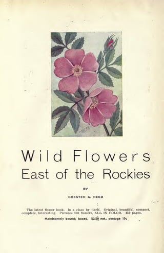Wild Flowers
East of the Rockies
BY
CHESTER A. REED
The latest flower book. In a class by itself. Original, beautiful, compact,
complete, interesting. Pictures 320 flowers, ALL IN COLOR. 450 pages.
Handsomely bound; boxed. $2.50 net; postage 15c
 