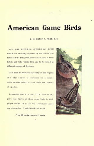 American Game Birds
By CHESTER A. REED, B. S.
Over ONE HUNDRED SPECIES OF GAME
BIRDS are faithfully depicted by the colored pic-
tures and the text gives considerable idea of their
habits and tells where they are to be found at
different seasons of the year.
This book is prepared especially at the request
of a large number of sportsmen for a concise
guide devoted solely to game birds and figuring
all species.
Remember that it is the ONLY book at any
price that figures all these game birds in their
proper colors. It is the real sportsmen's guide
and companion. Nicely bound and boxed.
Price 60 cents; postage 5 cent
 