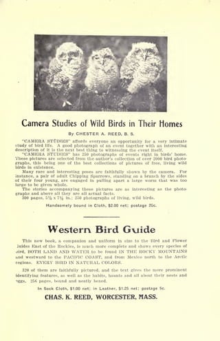 Camera Studies of Wild Birds in Their Homes
By CHESTER A. REED, B. S.
"CAMERA STUDIES" affords everyone an opportunity for a very intimate
study of bird life. A good photograph of an event together with an interesting
description of it is the next best thing to witnessing the event itself.
"CAMERA STUDIES" has 250 photographs of events right in birds' home.
These pictures are selected from the author's collection of over 2000 bird photo-
graphs, this being one of the best collections of pictures of free, living wild
birds in existence.
Many rare and interesting poses are faithfully shown by the camera. For
instance, a pair of adult Chipping Sparrows, standing on a branch by the sides
of their four young, are engaged in pulling apart a large worm that was too
large to be given whole.
The stories accompanying these pictures are as interesting as the photo-
graphs and above all they are all actual facts.
300 pages, 5% x 7y2 in.; 250 photographs of living, wild birds.
Handsomely bound in Cloth, $2.00 net; postage 20c.
Western Bird Gxiide
This new book, a companion and uniform in size to the Bird and Flower
Guides East of the Rockies, is much more complete and shows every species of
oird, BOTH LAND AND WATER to be found IN THE ROCKY MOUNTAINS
and westward to the PACIFIC COAST, and from Mexico north to the Arctic
regions. EVERY BIRD IN NATURAL COLORS.
320 of them are faithfully pictured, and the text gives the more prominent
identifying features, as well as the habits, haunts and all about their nests and
sggs. 256 pages, bound and neatly boxed.
In Sock Cloth, $1.00 net; in Leather, $1.25 net; postage 5c.
CHAS. K. REED, WORCESTER, MASS.
 