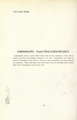 THE BIRD BOOK
CORMORANTS. Family PHALACROCORACID^E
Cormorants have a more bulky body than do the Anhingas; their tail is
shorter and the bill strongly hooked at the tip. Cormorants are found in
nearly all quarters of the globe. They are very gregarious and most species
are maritime. They feed upon fish which they catch by pursuing under water.
Most of the Cormorants have green eyes.
 