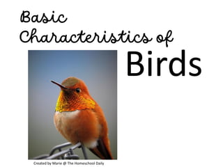 Basic
Characteristics of
Birds
Created by Marie @ The Homeschool Daily
 