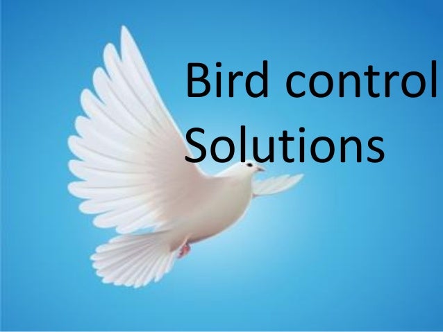 bird control solution bird control solution