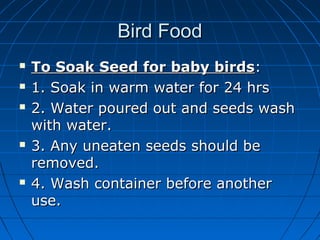 Bird digestion | PPT