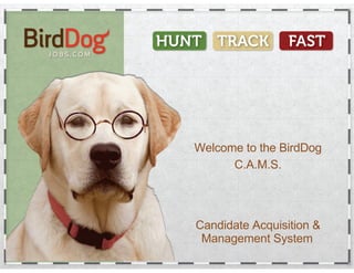 Bird dog solution introduction