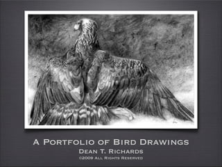 A Portfolio of Bird Drawings
        Dean T. Richards
        ©2009 All Rights Reserved
 