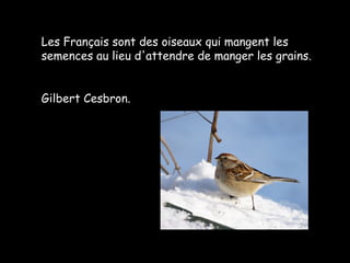 Les Français sont des oiseaux qui mangent les
semences au lieu d'attendre de manger les grains.
Gilbert Cesbron.