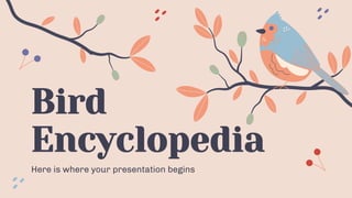 Bird
Encyclopedia
Here is where your presentation begins
 