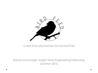 a real-time bird tracker for Central Park
Eamon Kavanagh, Insight Data Engineering Fellowship
Summer 2016
 