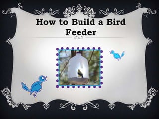How to Build a Bird
     Feeder
 