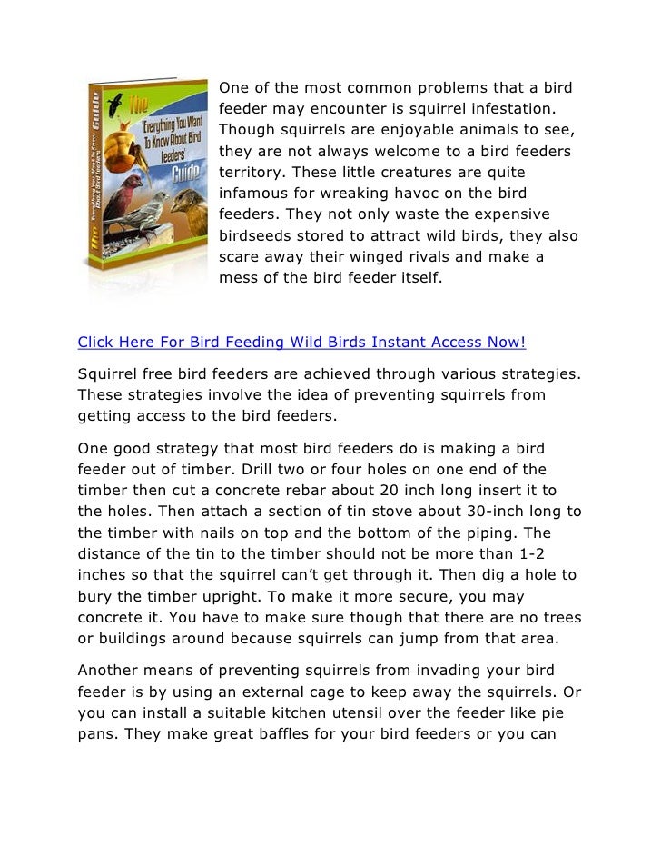 Bird Feeding Wild Birds Squirrel Free Bird Feeders