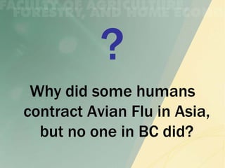 Why did some humans
contract Avian Flu in Asia,
  but no one in BC did?
 