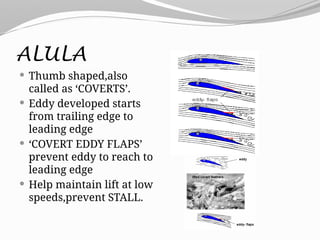 ALULA
 Thumb shaped,also
called as ‘COVERTS’.
 Eddy developed starts
from trailing edge to
leading edge
 ‘COVERT EDDY FLAPS’
prevent eddy to reach to
leading edge
 Help maintain lift at low
speeds,prevent STALL.
 