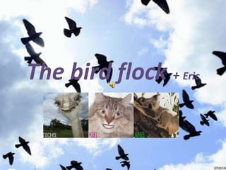 The bird flock + Eric
 