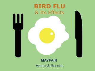 BIRD FLU & Its Effects 