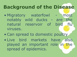 Background of the Disease <ul><li>Migratory waterfowl - most notably wild ducks - are the natural reservoir of bird flu vi...