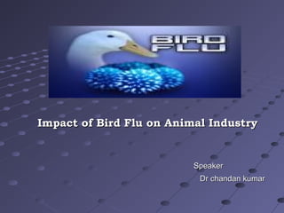 Impact of Bird Flu on Animal Industry


                          Speaker
                           Dr chandan kumar
 