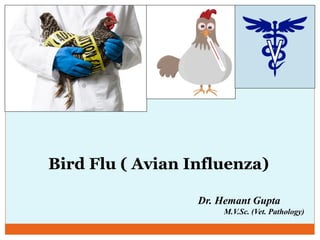 Dr. Hemant Gupta
M.V.Sc. (Vet. Pathology)
Bird Flu ( Avian Influenza)
 