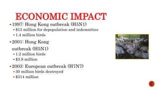 ECONOMIC IMPACT
1997: Hong Kong outbreak (H5N1)
 $13 million for depopulation and indemnities
 1.4 million birds
2001: Hong Kong
outbreak (H5N1)
 1.2 million birds
 $3.8 million
2003: European outbreak (H7N7)
 30 million birds destroyed
 $314 million
Center for Food Security and Public Health, Iowa State University, 2013
 
